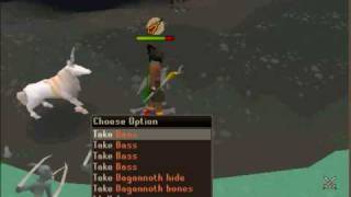 Runescape Solo Mage Dagannoth Rex guide With Commentary [upl. by Groos]