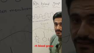 Rh blood groups system [upl. by Adnael]