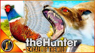 TWO of Ranchos Coolest Trophies BACK TO BACK  theHunter Call of the Wild [upl. by Melc]