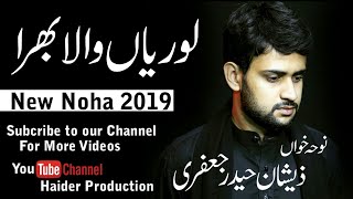 Lorian Wala BhiraNoha KhuwanZawar Zeeshan Haider Jaffery New 2019 Noha By Haider Production [upl. by Nigem]