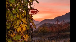 VALTELLINA WINE TRAILSDM NEWS 09 11 2021 [upl. by Faydra]