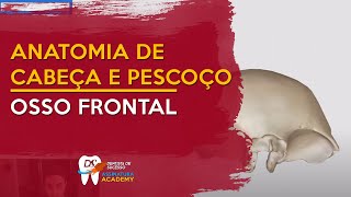 Osso frontal  ANATOMIA DE CABEÇA E PESCOÇO [upl. by Lehman911]