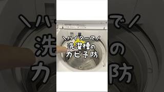 【効果絶大】キッチンハイターで洗濯槽内のカビ予防をしてみた！ [upl. by Debbi]