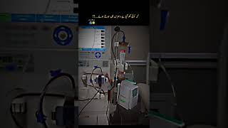 During hemodialysis your blood passes through a tube into an artificial kidney or filter dialyzer [upl. by Yralam]