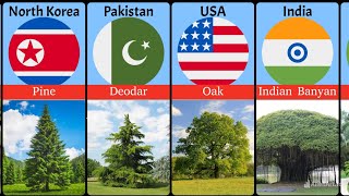 National tree of india  national tree of pakistan  national tree [upl. by Anirazc]