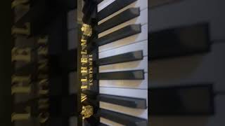 Wilhelm Schimmel upright piano musicalinstrument piano music [upl. by Piggy730]