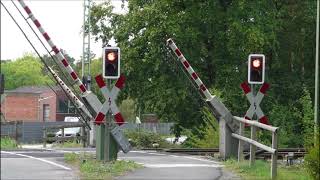 Bahnübergang Emsbüren  German Railroad crossing  Duitse Spoorwegovergang [upl. by Sharos585]