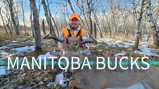 MANITOBA WHITETAIL DEER HUNTING 9 DAY HUNT BIG MANITOBA BUCKS [upl. by Lesoj965]