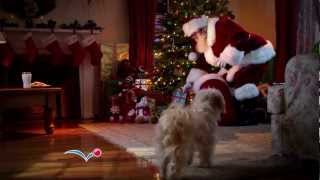 PetSmart commercial  2011 Holiday Campaign quotSantaquot [upl. by Aharon]