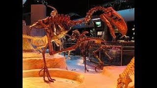 National Geographic Kelenken Prehistoric Predators New Documentary 2019 [upl. by Eugen]