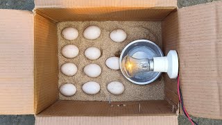 Method of Hatching Eggs in Incubator at home [upl. by Anitsirhc]