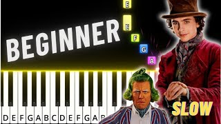 Oompa Loompa  Wonka Movie  BEGGINER Piano Tutorial [upl. by Neenahs294]