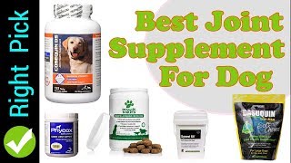 DOG SUPPLEMENT  5 Best Joint Supplement For Dog [upl. by Munafo]