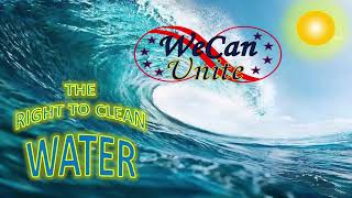 Pesticde  Diquat Dibromide  FWC amp IFAS approved for use in Florida Waters [upl. by Halsted638]