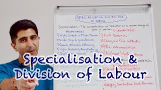 Y1 39 Specialisation and the Division of Labour [upl. by Anwaf960]