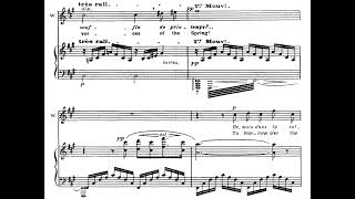 Pourquoi me réveiller Werther  J Massenet Score Animation [upl. by Nlyak]