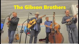 The Gibson Brothers  Blistered Fingers Bluegrass Festival  June 2023 2024  Litchfield ME [upl. by Ahtiekahs]