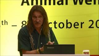 Dynamics of Street Dog Population Control Part 1 [upl. by Karolina419]