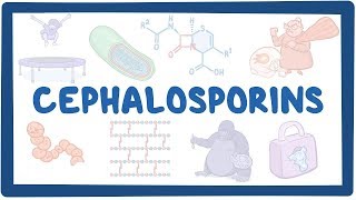 Cephalosporin Generations Explained [upl. by Airdnahs635]