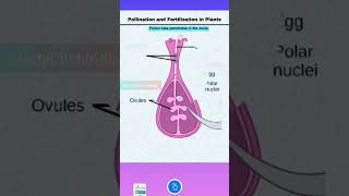 biology short  reproduction in plants  reproduction in 20 sec [upl. by Ennovy692]