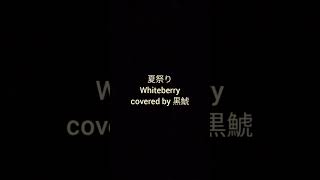 夏祭り  Whiteberry【covered by 黒鯱】short [upl. by Erma]