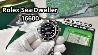 Rolex Sea Dweller 16600  Unboxing overview and wrist check [upl. by Yhtnomit71]