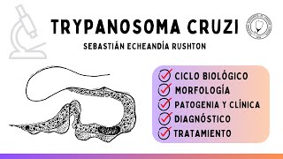 TRYPANOSOMA CRUZI Ciclo biológico Vector Clínica Diagnóstico y Tratamiento  Parasitología [upl. by Darrelle222]