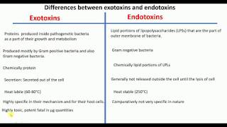 Overview of toxins  Exotoxins vs Endotoxins  Differences between Exotoxins amp Endotoxins [upl. by Zoe]