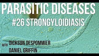 Parasitic Diseases Lectures 26 Strongyloidiasis [upl. by Farrison562]