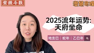 2025流年运势｜天府坐命｜蛇年｜紫微斗数 [upl. by Dusty319]