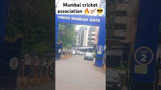 wankhede stadium 🏟️ Mumbai shorts viralvideo amezingvideo like trending reels videos [upl. by Aihsatal]