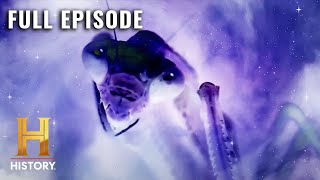 Ancient Aliens INSECT GODS OF DEEP SPACE S7 E7  Full Episode [upl. by Spark]