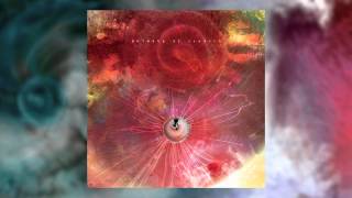 ANIMALS AS LEADERS  MindSpun [upl. by Marinna]