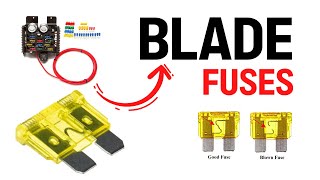 Learn About Car Blade Fuses A Complete Guide [upl. by Suirrad448]