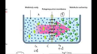 Osmóza a osmotický tlak [upl. by Llebiram]