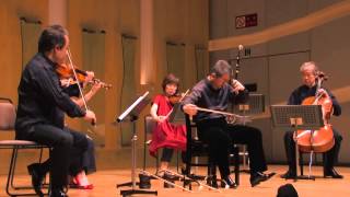 Chinese Traditional East Chinese LullabyErhu amp String Quartet [upl. by Kcid]