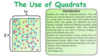 GCSE Biology Science Use of quadrats revision [upl. by Ynove]