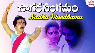 Nadha Vinodhamu video song  Sagara Sangamam telugu movie songs  Phoenix Music [upl. by Nyladnewg]