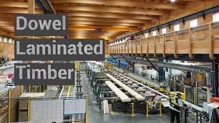 An Introduction to Dowel Laminated Timber DLT [upl. by Kalvin637]