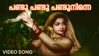 Pandu Pandu Pandu Ninne Video Song  Raarichan Enna Pauran  Mehboob  K Raghavan [upl. by Assirak]