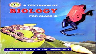 84 LIFE CYCLE OF ZYGOMYCOTA  CHAPTER 8KINGDOM FUNGI  FIRST YEAR BIOLOGY [upl. by Aradnahc32]