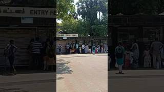 Vandalur Zoo Ticket Price 2024 amp Visiting Hours shorts [upl. by Rein]