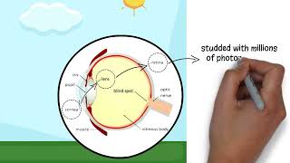 PSY101 Module 3 Developing Sending and Perceiving [upl. by Arin]