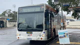 Ventura Knoxfield 900 SCANIA L94UB  Custom Coaches CB60 CMax On Route 691 To Waverley Gardens [upl. by Nwahsiek882]