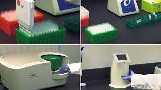 Droplet Digital PCR Whole Cell DNA Workflow Tips for Success [upl. by Tegirb676]