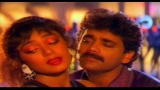 Neti Siddhartha Telugu Movie Songs  Neeve Kada Naa Sweetu  Nagarjuna  Sobhana [upl. by Rusty872]