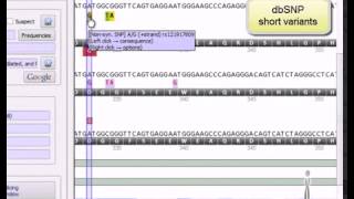 Alamut® Visual Interpreting a mutation [upl. by Ansilme]