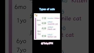 猫の種類 Types of cats  Learn Japanese with Toby  shorts male female lifestages cat japanese [upl. by Llewsor]