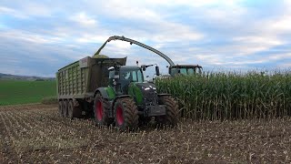 Mais 2024 LU Norbert Mäser Claas Jaguar 970 mit verschiedenen Abfahrern in der Wetterau [upl. by Styles]