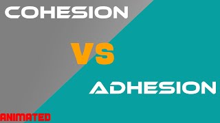 Cohesion vs Adhesion [upl. by Aeniah950]